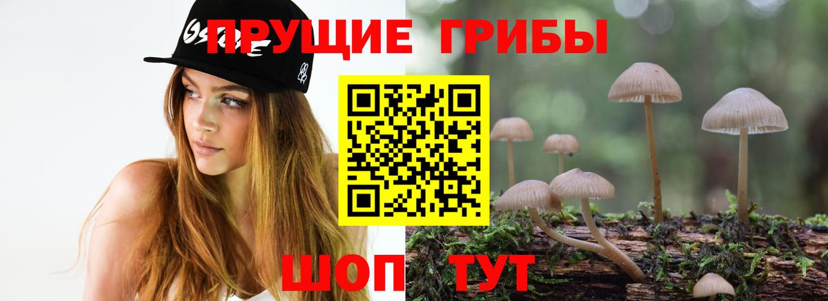Ливны  Псилоцибиновые грибы мухоморы  Вход с VPN  Псилоцибиновые грибы MAGIC MUSHROOMS 